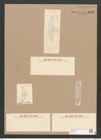 Amphora areolata Grun. (de-Toni-Nr.: Genus 36, Species 1579) Zeichnungen Sammlung Grunow Nr. 3028 (NHMW-BOT-W0370417)